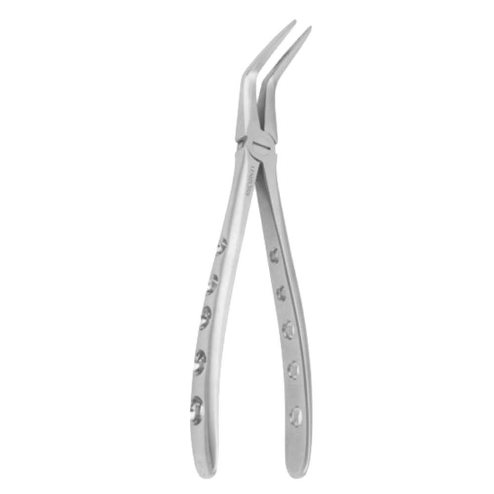 Long Beak Extracting Forceps for Lower Roots | Lenox INS.