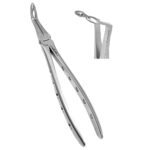 Dental Extracting Forceps Lower Roots