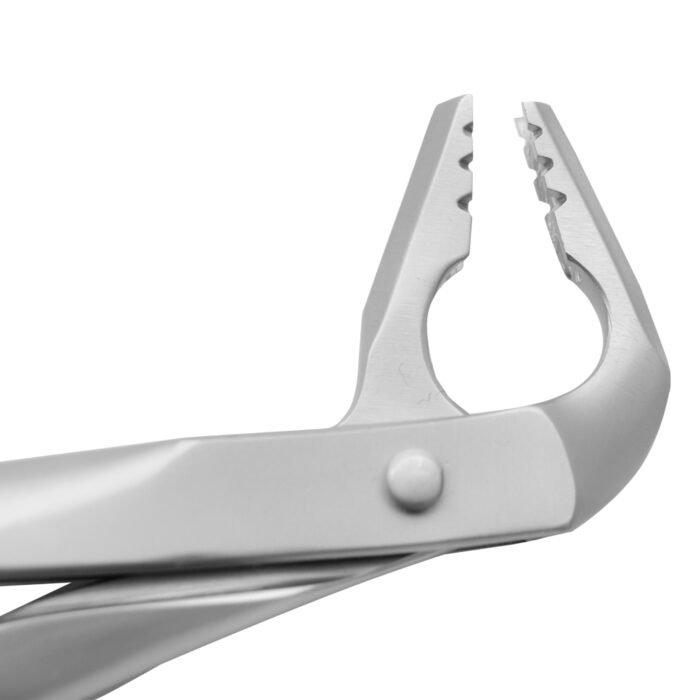 Deep Gripping Atraumatic Extracting Forceps – Lower Anterior - Image 2