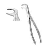 Extracting Forceps #73A Lower Molars - Premium Dental Surgical Instrument