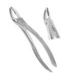 Extracting Forceps Fig. 19 Upper Third Molars