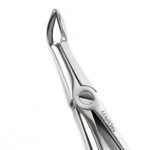 Extracting Forceps #45 Lower Roots