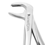 Extracting Forceps #73 Lower Molars - Image 2