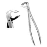 Deep Gripping Forceps #336 Lower Premolars