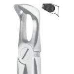 Deep Gripping Forceps #79N Lower Third Molars