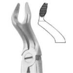 Deep Gripping Forceps #67 Upper Third Molars