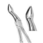 Deep Gripping Forceps #67A Upper Third Molars