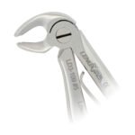 Pedo Extracting Forceps English Pattern Klein #5 Lower Incisors - Image 3