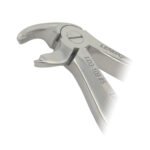 Pedo Extracting Forceps English Pattern Klein #5 Lower Incisors - Image 2