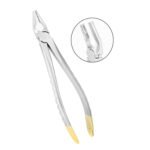 Premium Deep Gripping Extracting Forceps