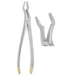 Deep Gripping Universal Extraction Forceps Upper Molars