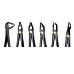 Deep Gripping Extracting Forceps Set of 6 - Image 2