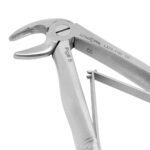 Baby Extracting Forceps English Pattern Klein #5 Pedodontic Lower Incisors - Image 2