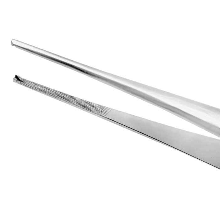 Tissue Forceps 15cm - Image 2