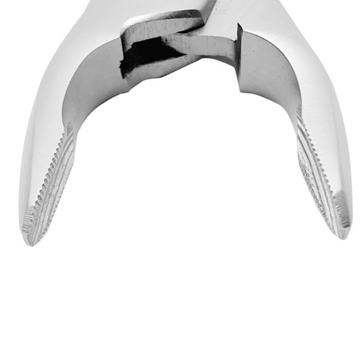Extracting Forceps Fig. 1 Upper Anterior - Image 3