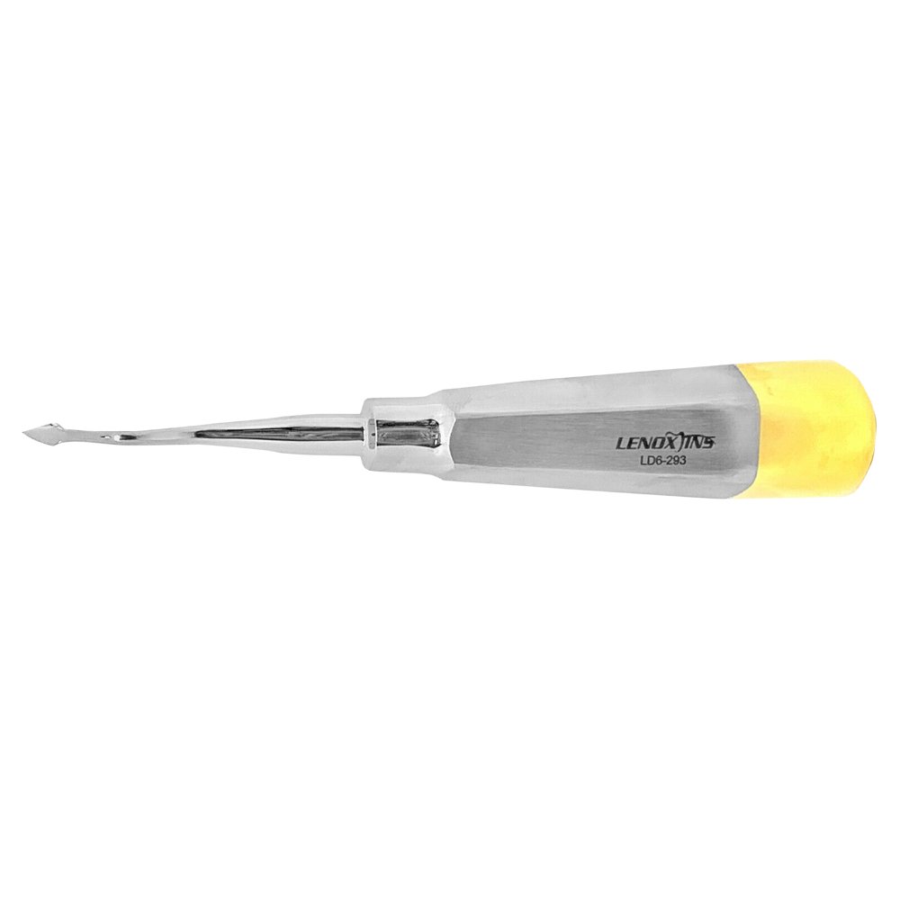 Bernard Spade Straight Dental Root Elevators – Stainless Steel Surgical Instruments (Single)