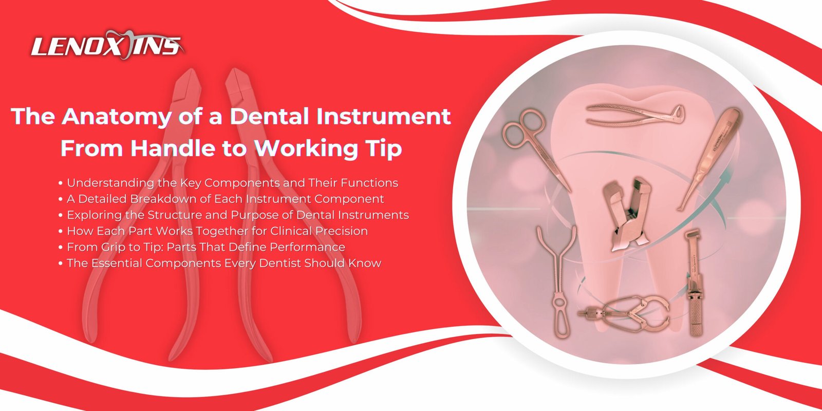 Instrument Handle The Anatomy of a Dental Instrument: From Handle to Working Tip ...
