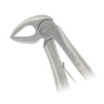 Pedo Extracting Forceps English Pattern Klein #7 Lower Roots - Image 3