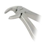 Pedo Extracting Forceps English Pattern Klein #7 Lower Roots - Image 2